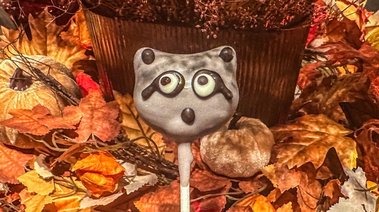 Starbucks Raccoon Cake Pop