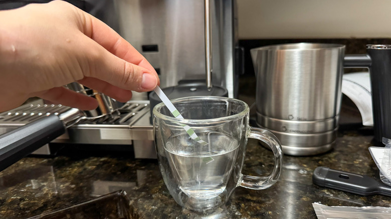 Hand putting test strip in espresso cup of water