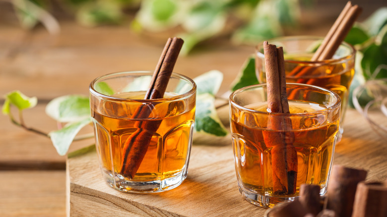 shot of alcohol with cinnamon stick