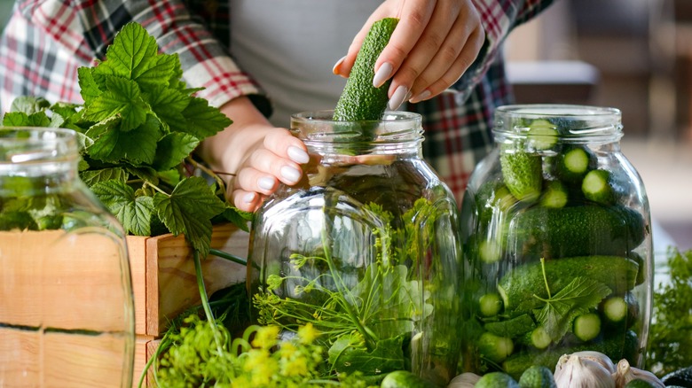 Hands putting pickles in jars