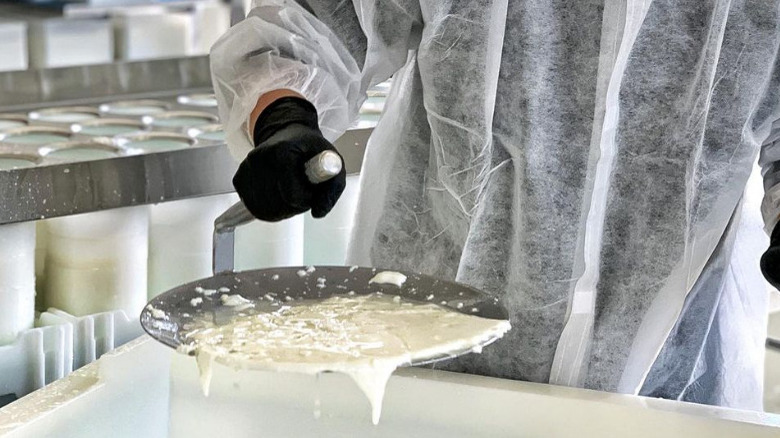 Making curds and whey in a lab/kitchen