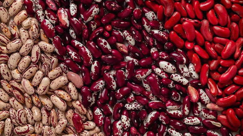 Three types of mottled beans