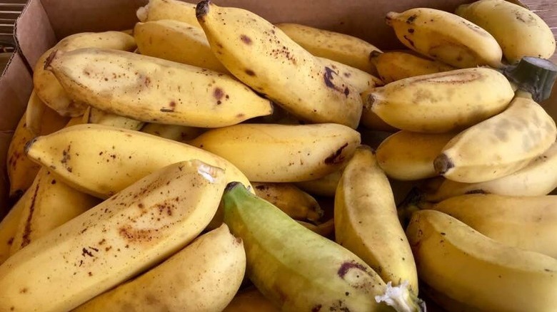 apple bananas in box