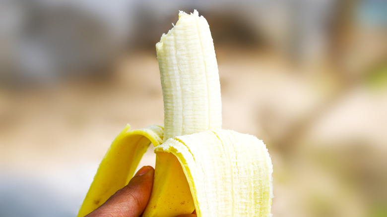 halfway peeled banana