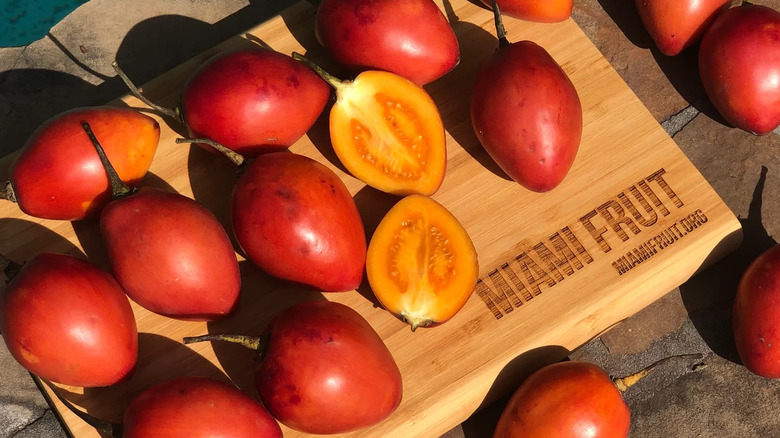 Miami Fruit product shot