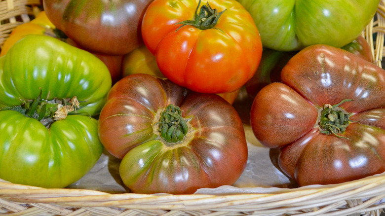 tomatoes in basket