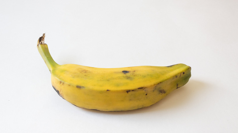 single burro banana