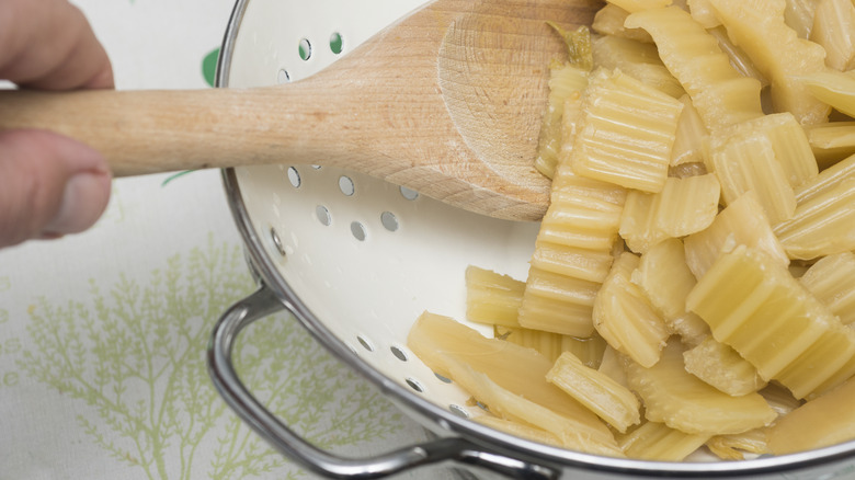 Cooked cardoon in a strainer