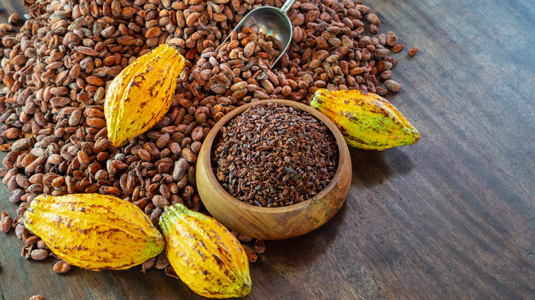 cocoa nibs and cocoa fruit