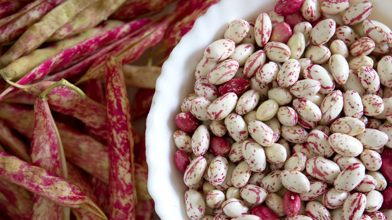 Whole and shelled cranberry beans