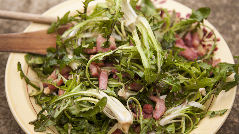 bowl of dandelion bacon salad