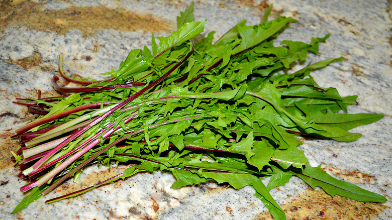 bunch of dandelion greens