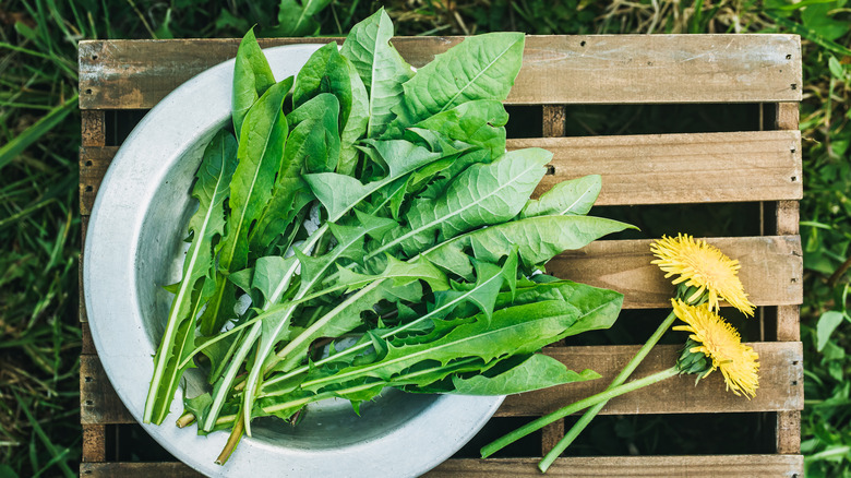 dandelion greens on wooden crate 