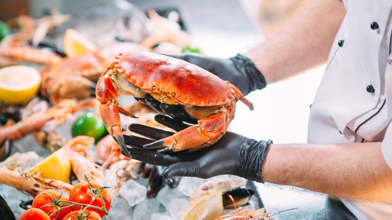 Man holding crab 