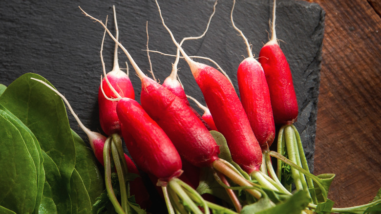 D'Avignon radish