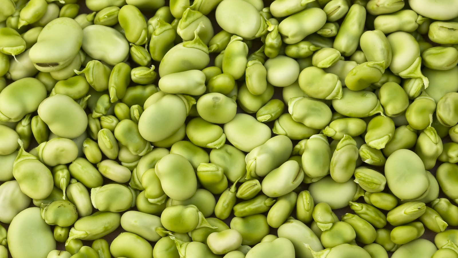 what-are-lima-beans-and-are-they-nutritious-tasting-table-trendradars