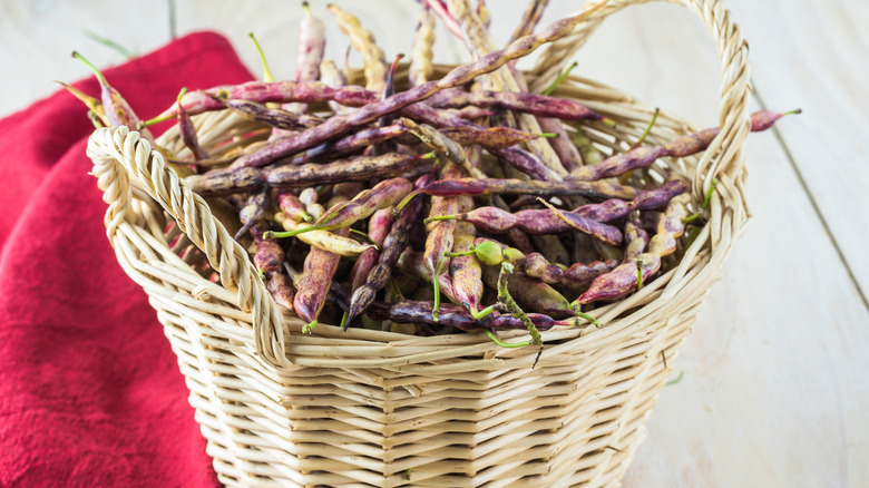 basket of mesquite beans 