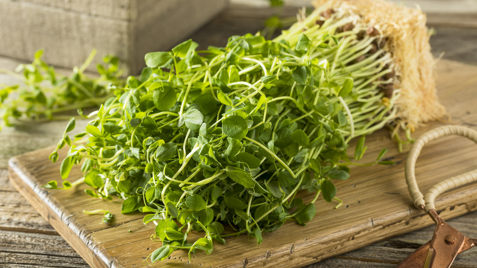 What Are Pea Shoots And Can You Eat Them Raw?