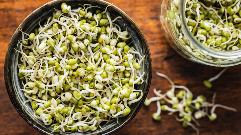 bowl of bean sprouts