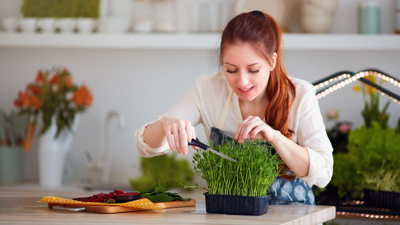 woman cutting pea shoots