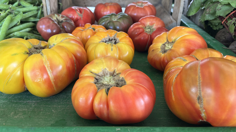 mixed heirloom tomatoes