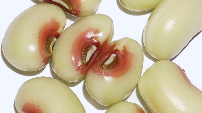 Close-up of pink-eyed peas on white background