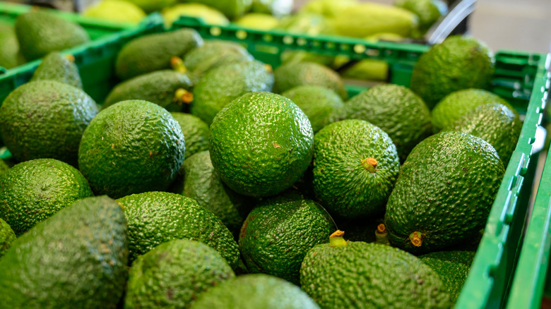 box of green avocados