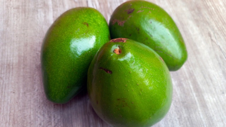 three bright green avocados