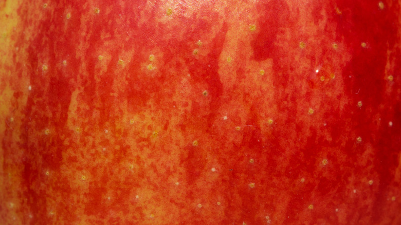 Tny lenticels on apple skin