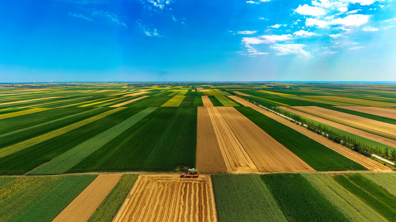 crop fields