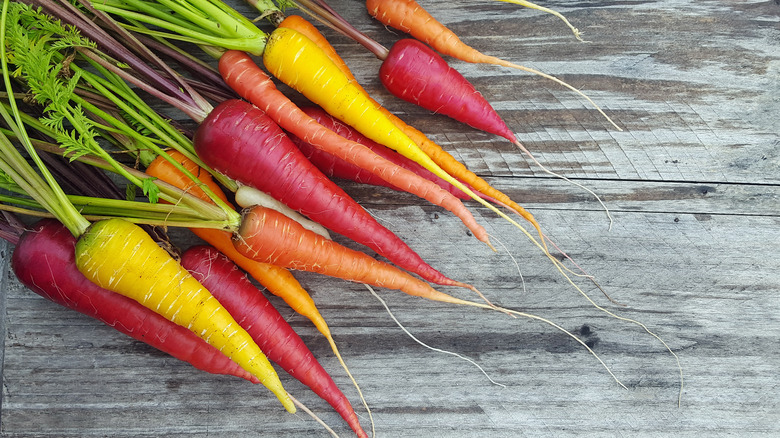 Tri-colored carrots