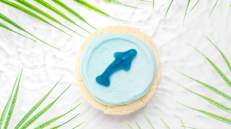 Crumbl gummy shark cookie on white background with greenery