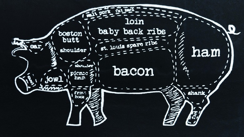 Pork cuts diagram