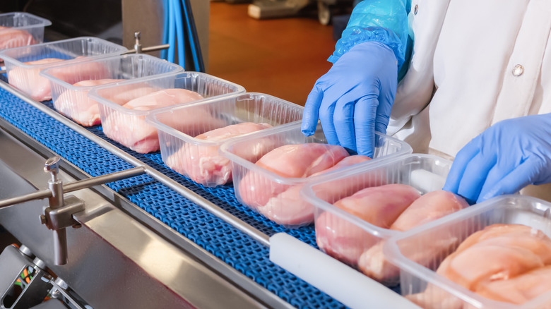 raw chicken being packaged