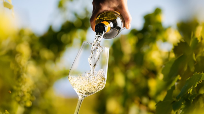 person pouring glass of white wine