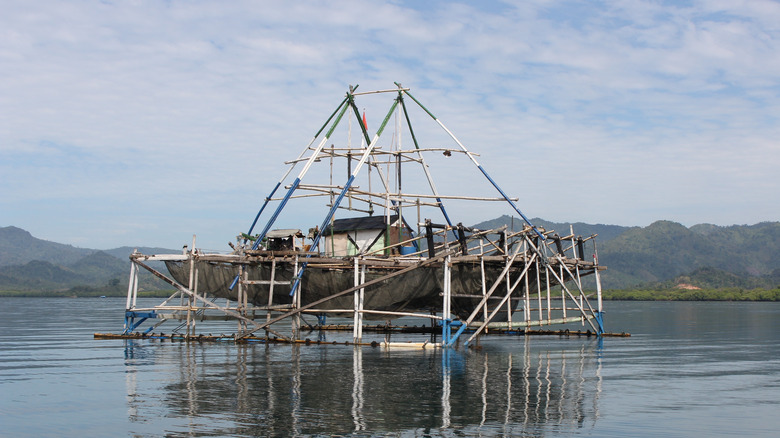 Fish Aggregating Device for fishing