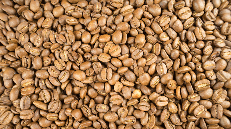 blonde roast coffee beans