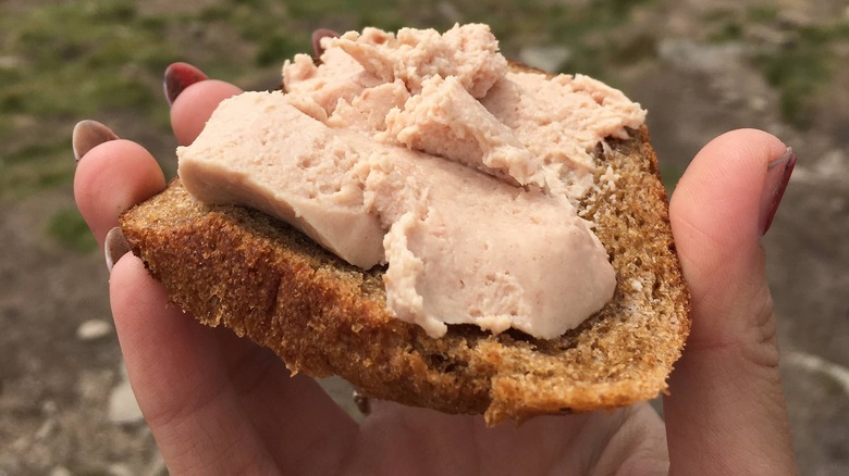 Hand holding pâté on toast