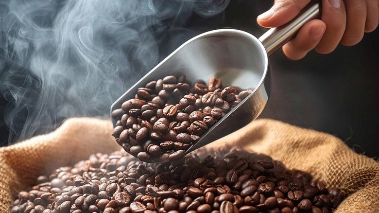 A metal scoop of smoking coffee beans over a burlap sack