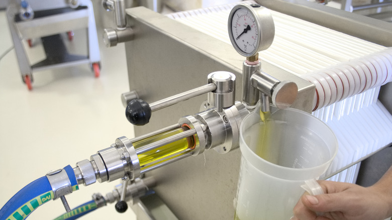 Olive oil being made out of a centrifuge
