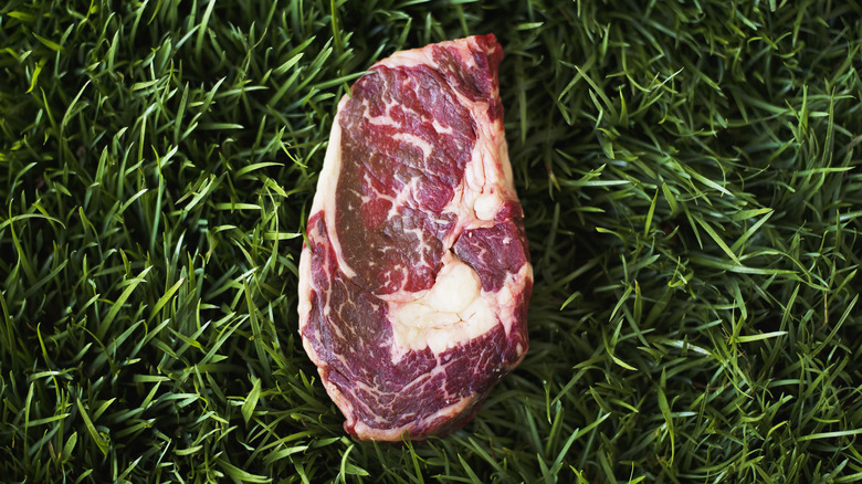 Steak on grass