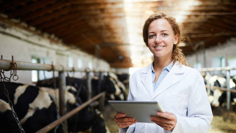 Person holding clipboard in cow shed