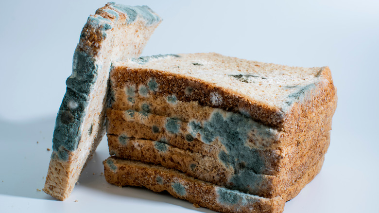 What Happens If You Eat Mold?, Moldy Food Explained, Cooking School