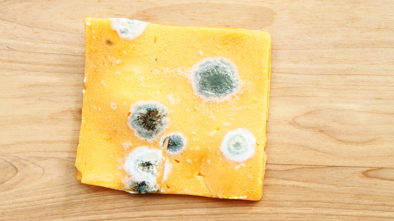 cheese that has bad mold