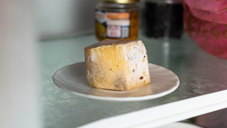 molding cheese in refrigerator