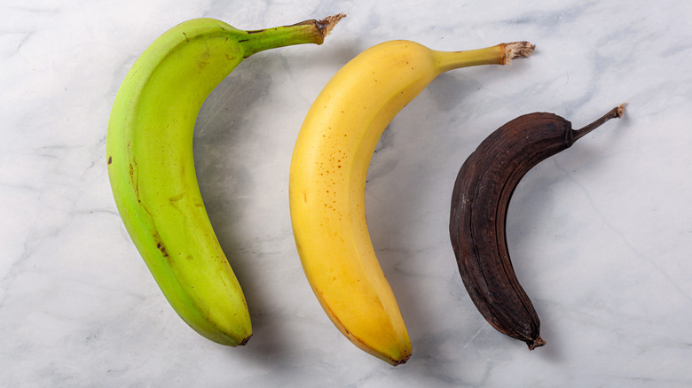 Bananas at stages of ripeness