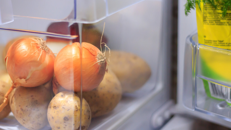 Onions and potatoes in a refrigerator drawer