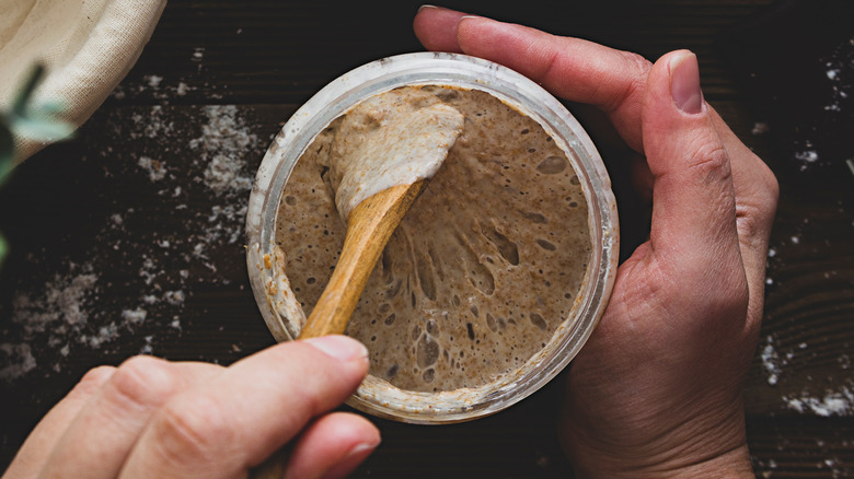 Hands stirring sourdough starter