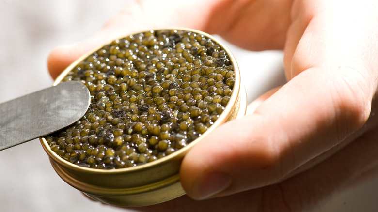 Hand holding caviar tin