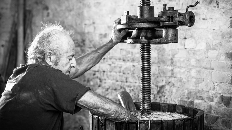 Old man crushing grapes